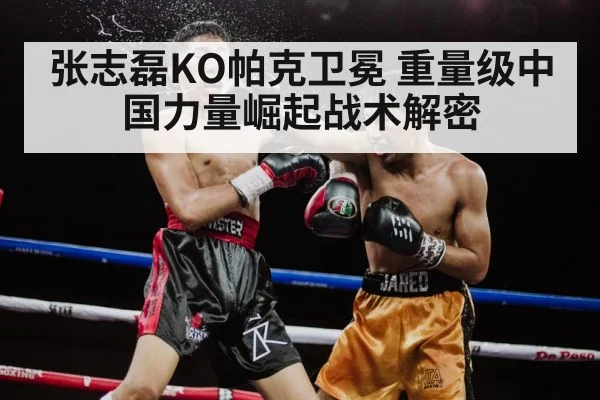 张志磊KO帕克卫冕 重量级中国力量崛起战术解密